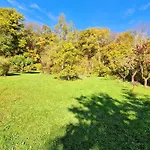 Buchengrund By Interhome