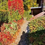 Buchengrund By Interhome 펜션