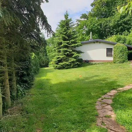 Buchengrund By Interhome Ferienhaus *