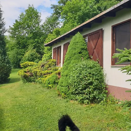 Buchengrund By Interhome Sangerhausen