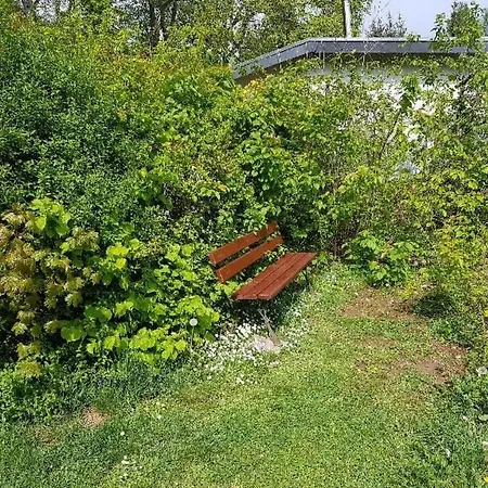 Ferienhaus Buchengrund By Interhome Sangerhausen