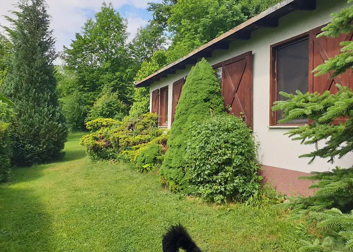 Buchengrund By Interhome Sangerhausen