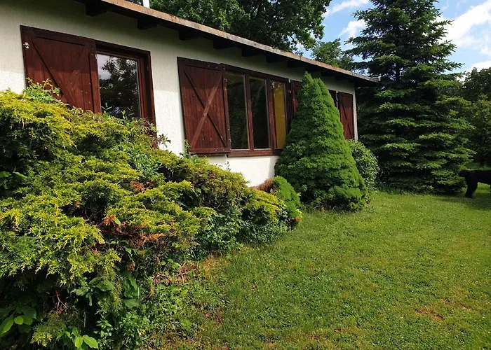 Buchengrund By Interhome * Sangerhausen