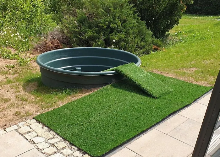 Ferienhaus Buchengrund By Interhome Sangerhausen