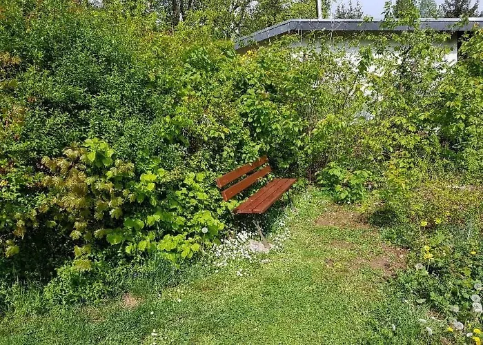 Ferienhaus Buchengrund By Interhome Sangerhausen