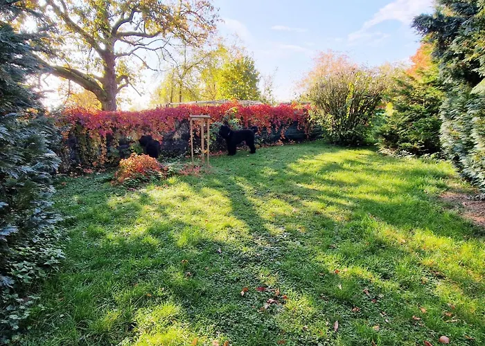 Buchengrund By Interhome Ferienhaus *