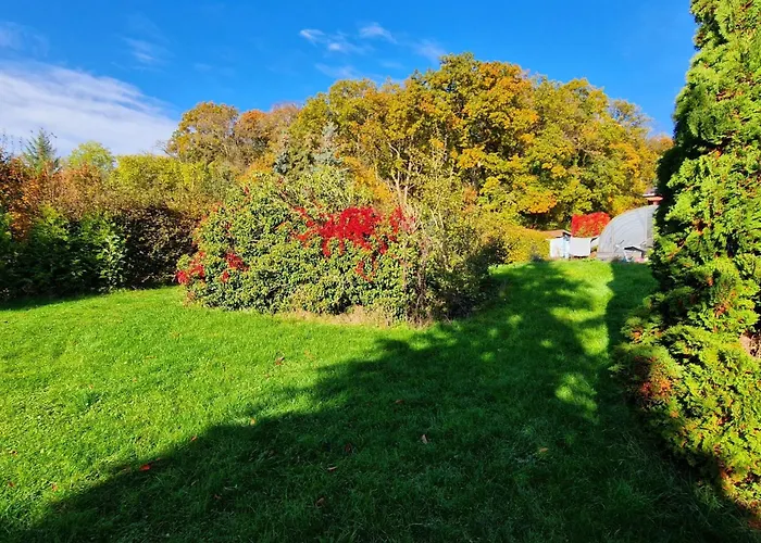 Ferienhaus Buchengrund By Interhome