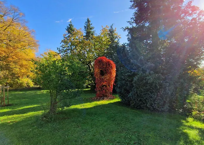 Buchengrund By Interhome Ferienhaus *