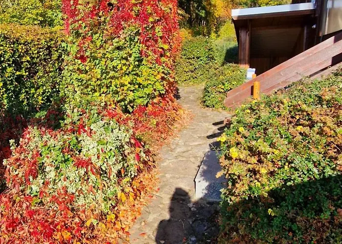 Buchengrund By Interhome Ferienhaus